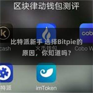 比特派新手 选择Bitpie的原因，你知道吗？