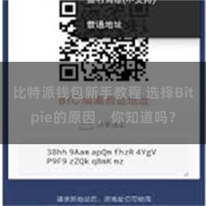 比特派钱包新手教程 选择Bitpie的原因，你知道吗？
