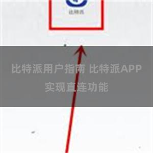 比特派用户指南 比特派APP实现直连功能