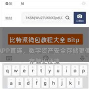 比特派钱包教程大全 BitpieAPP直连，数字资产安全存储更便捷