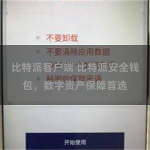 比特派客户端 比特派安全钱包，数字资产保障首选