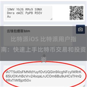比特派iOS 比特派用户指南：快速上手比特币交易和投资