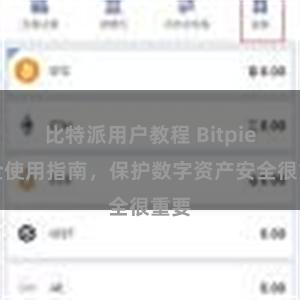 比特派用户教程 Bitpie安全使用指南，保护数字资产安全很重要