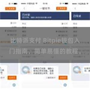 比特派支付 Bitpie钱包入门指南，简单易懂的教程。